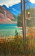 20" x 30"  sold