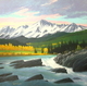 48 x 48 sold