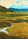 30 x 40 canvas