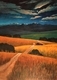 30 x 40 canvas