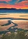 30 x 40 canvas sold