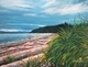 11 x 14 canvas sold