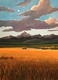 30 x 40 canvas