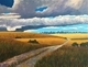 30 x 40 canvas
