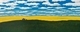 20 x 42 panel sold