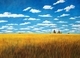 30 x 40 canvas