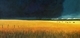 12 x 24 canvas