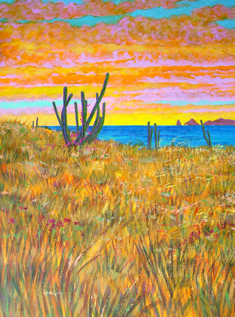 30" x 40" archive