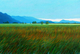 24" x 36" Sold