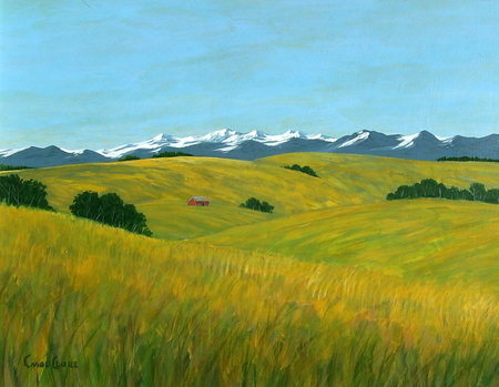 11" x 14 panel