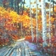 12 x 12