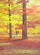 12" x 16" sold