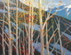 16" x 20"  sold