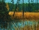 12" x 16" canvas  sold