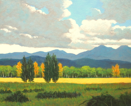 11 x 14 canvas  sold
