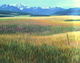 16" x 20" Sold