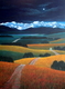36 x 48 sold
