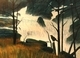 30 x 40 canvas