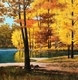 12 x 12 canvas sold