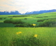 24 x 30 panel sold