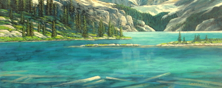 10 x 24 panel