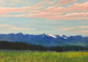 18" x 24"  panel oil