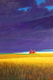 24 x 30 sold