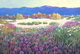 Baja Spring  24" x 36" sold